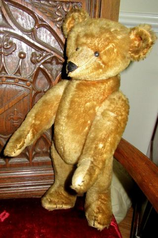 1903 Cinnamon Ideal Toy Co.  Teddy Bear,  rare five claws,  shoe button eyes 7