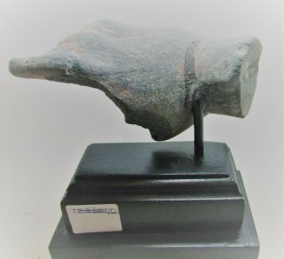 Circa 200bc - 200ad Ancient Gandharan Stone Schist Statue Fragment Mounted Hand