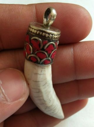 Ancient Vintage Necklace Amulte Viking Sea Shells,  Silver Ring Rose Quartz