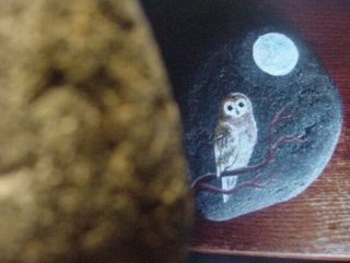 Monks Magic Owl Terma Stone Ancient Shaman,  Healing Crystal,  Owls,  Bird,  Esp,  W,  Cloth