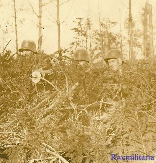 Port.  Photo: Ambush German Army Soldiers W/ Mg.  08 Machine Gun Set Up In Woods