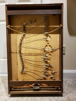 Antique Automatic Nervous System Interactive Scientific Lighted Teaching Display 9