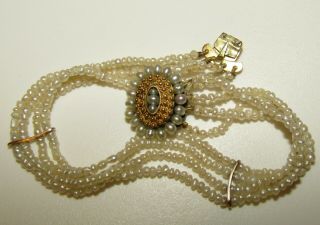 An Antique Georgian,  Regency Seed Pearl Bracelet With 18ct Gold Cannetille Clasp