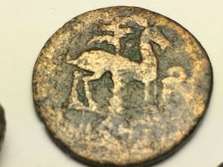 Ancient Auth.  2 Coin$; Xrare$ 172 Bc.  Bee & Stag Palm Tree,  Greek & Roman 307 Ad