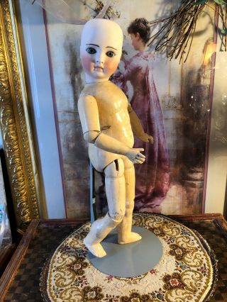 Captivating Antique German 16” Belton Child Doll Incised 10 w/Original Body 2