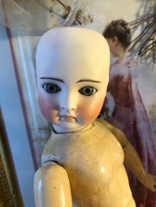 Captivating Antique German 16” Belton Child Doll Incised 10 w/Original Body 3