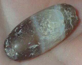 25mm Very Rare Ancient Indo - Tibetan Sulemani Chung Agate Bead,  S234
