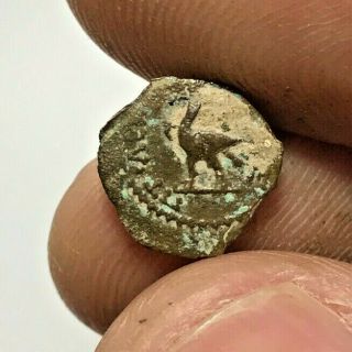 Ancient Greek Ptolemy Bronze Coin Cleopatra Vii With Eagle 0.  8gr 12.  2mm