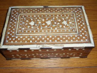 Anglo - Indian Bone and Ebony Inlaid Box with cross banding - Early 20th Century 2