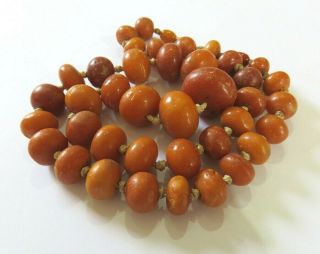 ANTIQUE BUTTERSCOTCH EGG YOLK BALTIC AMBER BEADS NECKLACE 34 GRAMS 4