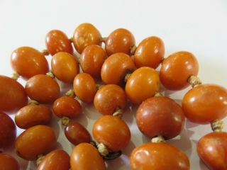 ANTIQUE BUTTERSCOTCH EGG YOLK BALTIC AMBER BEADS NECKLACE 34 GRAMS 7