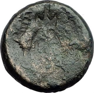 Thessalonica Macedonia 148bc Rare Ancient Greek Coin Zeus & Goats I62660