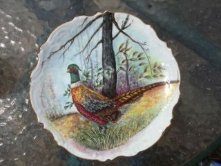 Antique Bird Pheasant Signed Plate Charger Painted Game Plate 9 1/2 " Large