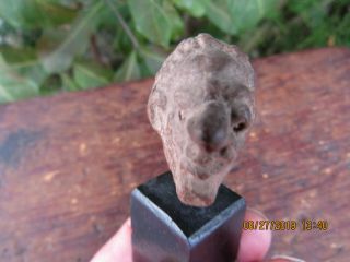 Ancient Roman Clay Head.  DETAILED,  Stunning Clay Bust/Statue,  250 BC - 350 Ad 5
