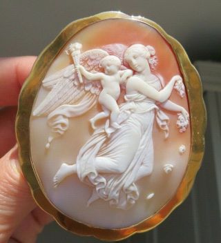 Antique 1870 Large Shell Cameo & Gold Frame Of Aurora With Genius Of Light
