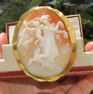 Antique 1870 Large Shell Cameo & Gold Frame of Aurora with Genius of Light 5