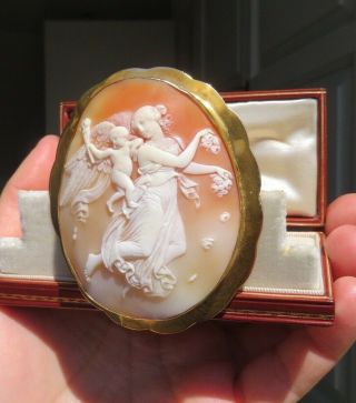 Antique 1870 Large Shell Cameo & Gold Frame of Aurora with Genius of Light 6