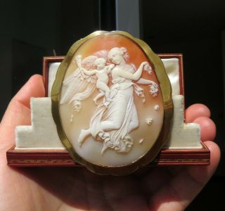 Antique 1870 Large Shell Cameo & Gold Frame of Aurora with Genius of Light 7