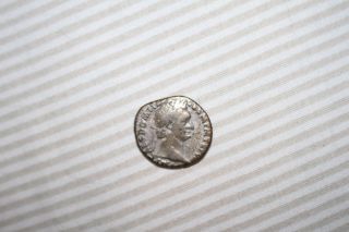 Ancient Roman Silver Denarius Of Emperor Domitian 69 - 79 C.  E.