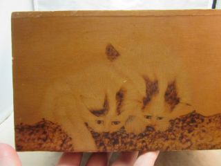 Vintage 1950 ' s Chinese wood burned storage box.  Kittens & Mushrooms 2