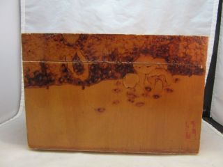 Vintage 1950 ' s Chinese wood burned storage box.  Kittens & Mushrooms 5