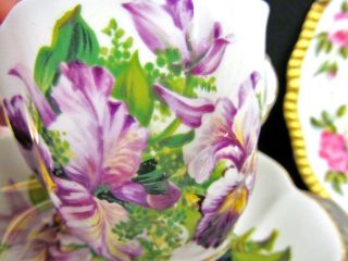 SALISBURY TEA CUP AND SAUCER ORCHID FLORAL TEACUP CUP & SAUCER BR 4