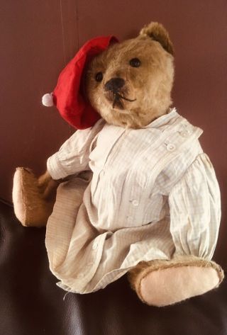 Wonderful Antique Cinnamon Mohair Teddy Bear 1908c FF Button 16” 2