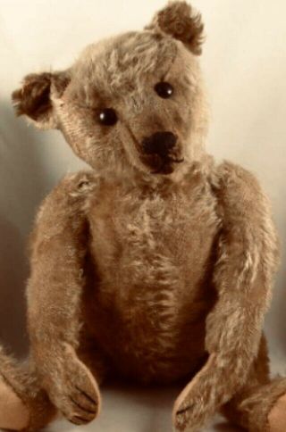 Wonderful Antique Cinnamon Mohair Teddy Bear 1908c FF Button 16” 4