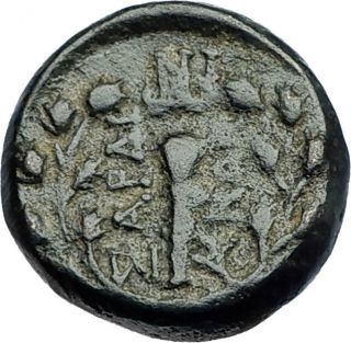 Sardes In Lydia 133bc Authentic Ancient Greek Coin Apollo & Hercules Club I70432