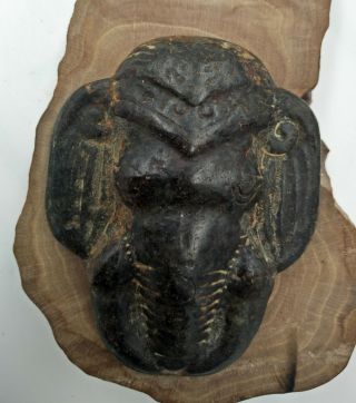 Hongshan culture Magnetic jade stone carved elephant jade pendant N126 2