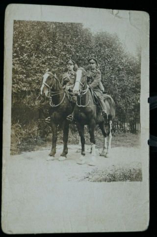 Ww1 Canadian Cef Two Mounted Soldiers On Horses Postcard