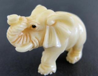 Vintage Japanese ivory colored bone netsuke - Baby Elephant Walks with Trunk up 3