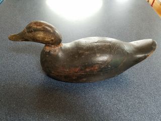 Mason Premier Grade Black Duck Decoy from Guyette/Deeter Weekly 4