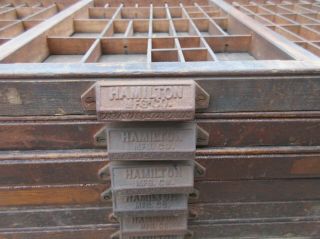 Antique Letterpress Hamilton California Type Case / Printers Tray / Shadow Box 7