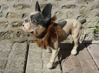 Rare 19th Century Antique Growler French Bulldog Papier Mache Automaton Dog 2