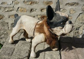 Rare 19th Century Antique Growler French Bulldog Papier Mache Automaton Dog 3