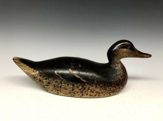 Early Mason Premier Grade Mallard Duck Hunting Decoy Decoys Wood ca.  1900 2