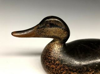 Early Mason Premier Grade Mallard Duck Hunting Decoy Decoys Wood ca.  1900 3