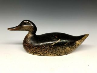 Early Mason Premier Grade Mallard Duck Hunting Decoy Decoys Wood ca.  1900 4