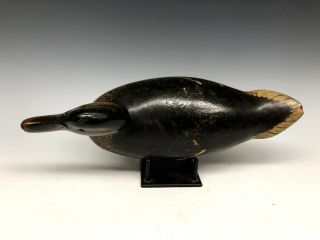 Early Mason Premier Grade Mallard Duck Hunting Decoy Decoys Wood ca.  1900 5