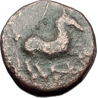 Maroneia In Thrace 400bc Ancient Greek Coin Horse Vine Grapes I61033