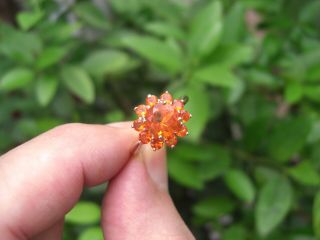 Vintage 3.  80ct,  Natural Mexican Fire Opal 14k Gold Ring Round Cut 1970s Estate 12