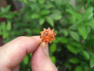 Vintage 3.  80ct,  Natural Mexican Fire Opal 14k Gold Ring Round Cut 1970s Estate 7