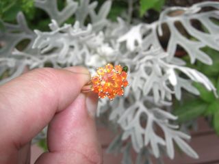 Vintage 3.  80ct,  Natural Mexican Fire Opal 14k Gold Ring Round Cut 1970s Estate 8