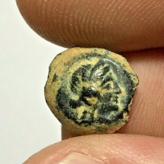 Museum Quality Ancient Greek Ptolemy Bronze Coin Cleopatra Vii 1.  7gr 13.  4mm