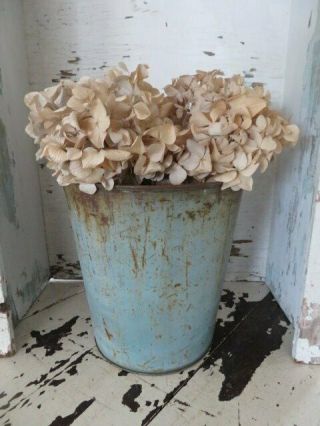 Awesome Old Vintage Metal Sap Bucket Can Aqua Blue Paint Hang Or Sit