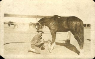 Us Army Soldier Horses Corral Dog Doing Trick Wwi Era Rppc Real Photo 1910 - 1930