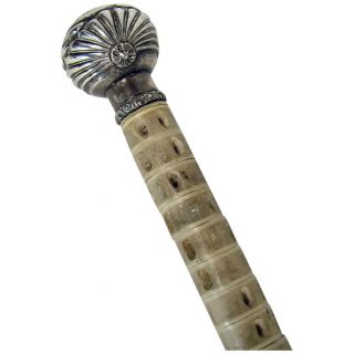 Hand - Carved Walking Stick With Sterling Silver Top - 1890 