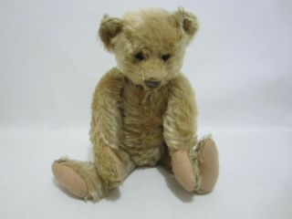 STEIFF Antique Teddy Bear 14 