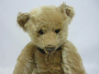 STEIFF Antique Teddy Bear 14 